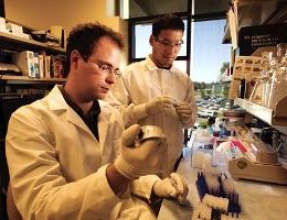 Researchers at UC Davis